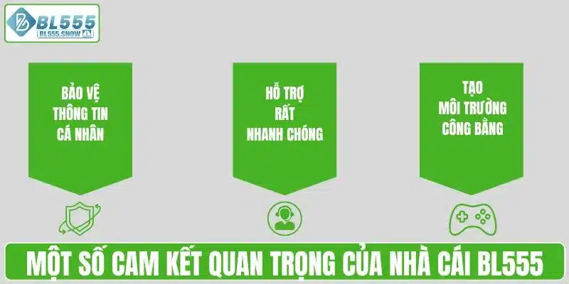 Một số cam kết quan trọng của nhà cái BL555
